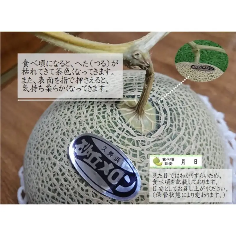 【先行予約】京都丹後久美浜産　砂丘メロン【オトメの祈り】　2Lサイズ／1玉入（2026年7月中旬～発送）