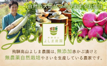 ご家庭で楽しむ発酵食品 あま酒セット | 甘酒 あまざけ 玄米 発酵食品 飛騨高山 よしま農園 CK019VC13