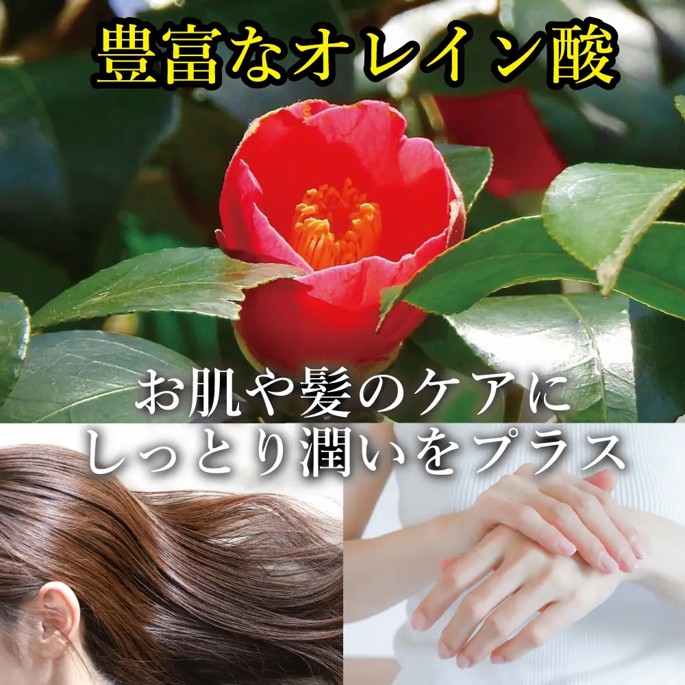 鹿狼椿油 300g×3本 食用椿油 国産 ツバキ油 つばき油 椿油 油 オイル セット ヘアケア ヘアオイル ドレッシング 純粋椿油 炒め油 揚げ油 調味油 保存料無添加 着色料無添加 福島県 新地町