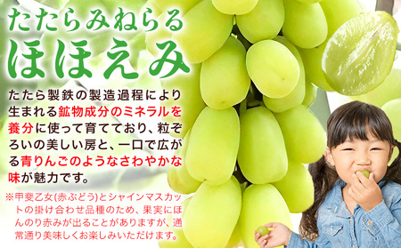 たたらみねらる食べ比べセット 約1.3kg　シャインマスカット ほほえみ