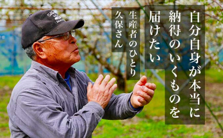旬のさくらんぼ 佐藤錦、紅秀峰、紅佐藤、紅香、サミット 約1kg［小布施屋］サクランボ くだもの 果物 フルーツ チェリー バラ詰め 長野県産 信州産 数量限定 令和8年産【2026年6月中旬～7月中旬発送】[B-1]
