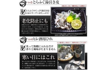 【若男水産】3年とらふぐ特選満足とらふぐセット 豪華9点盛り(5～6人前)