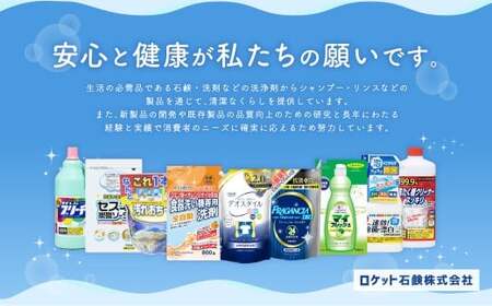 【最短発送！】 【ふるさと納税専売品】 詰替用 液体洗剤 デオスタイル 1.65kg×3個 計4.95kg 衣類用 洗濯用洗剤 洗剤 洗濯 衣類用洗剤 液体 詰め替え