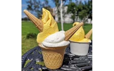 十勝産生乳の旨み！ジェラートアイスクリーム　7種14個セット[C1-9C]