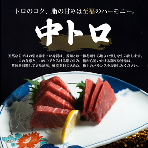 【スピード発送】 訳あり 天然本まぐろ 赤身中トロセット600g まぐろ