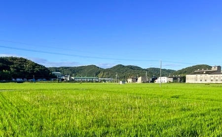 ★品種おまかせ！★【令和7年産】精米　香登米(かがとまい) 5kg