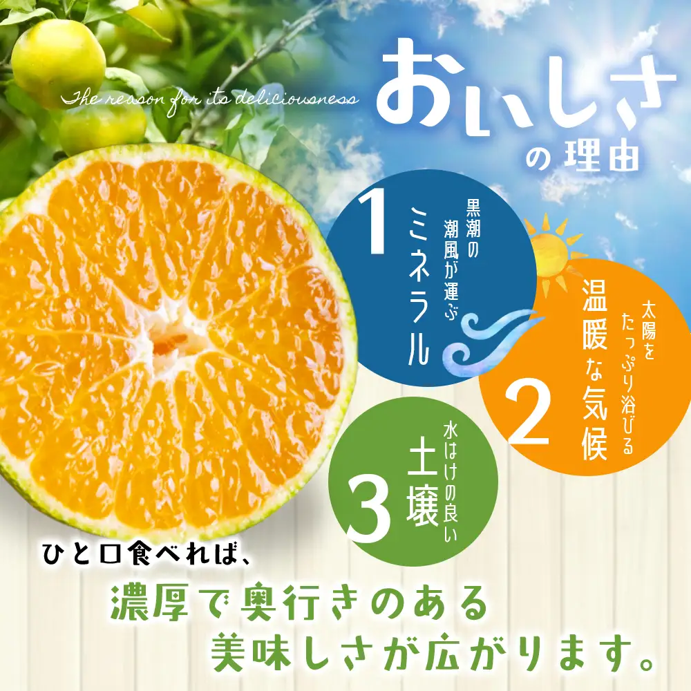 みかん 超極早生温州みかん みえ紀南一号 約5kg【nkmr0012】