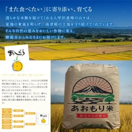 【先行予約受付】令和8年　青森県産まっしぐら　玄米30kg　彩北米【配送不可地域：離島・沖縄県】【1707798】