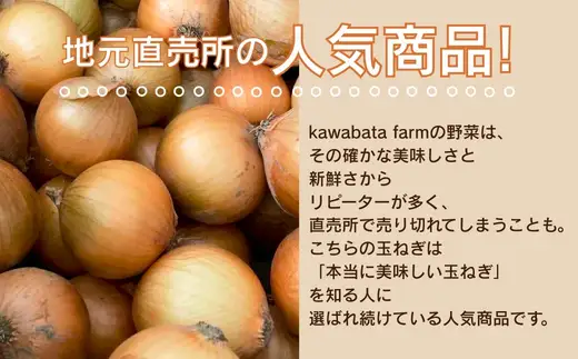 【令和8年度産玉ねぎ先行予約】玉ねぎ 2kg×2箱 ※6月より発送予定