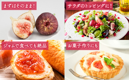 いちじく 無花果 とよみつひめ 280g×4パック《8月中旬-10月中旬頃出荷》福岡県 小竹町 福岡県産 いちじく フルーツ 果物