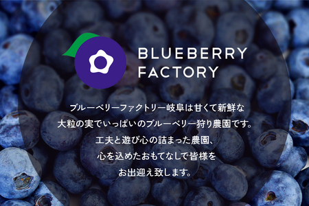 【単一品種】ブルーベリーコンフィチュール バルドウィン (2個入り) 日時指定可 A16-014