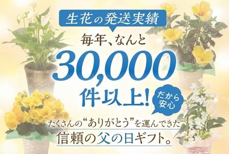 《父の日までにお届け》アンスリューム ピンク 花 花 鉢植え 鉢 鉢花 花 観葉植物 植物 5号鉢 人気 おしゃれ かわいい 父の日 プレゼント 贈り物 贈答 ギフト 夏 フラワーギフト 父 ありがとう お父さん 父親 記念日