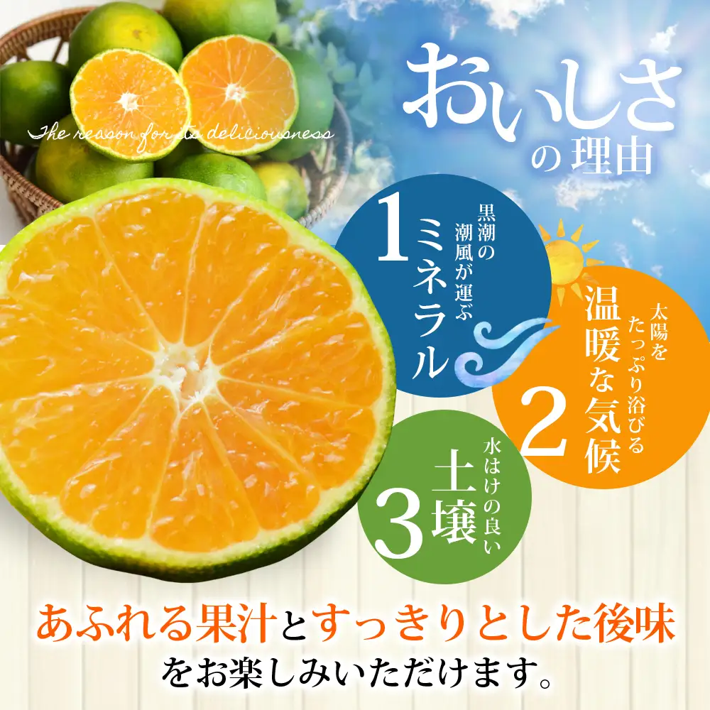 みかん 極早生温州みかん 約7kg【nkmr0017】