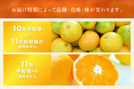 【0057-4】「濃厚な味のとろける美味しさ」温州みかん 5kg《先行予約》