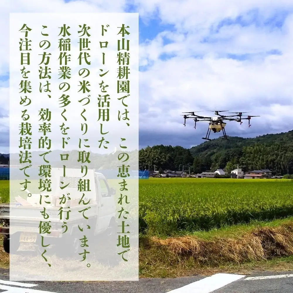 令和7年産 鏡野町産 きぬむすめ 精米【5kg】035-a012