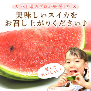 【0060-5】小玉すいか(ひとりじめ)2～3玉 和歌山産《先行予約》【2026年6月上旬頃から順次発送予定】