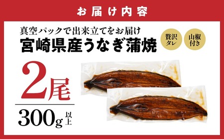 【父の日】宮崎県育ちのうなぎ蒲焼2尾300g以上≪山椒・たれ付≫≪6月18日～21日お届け≫〔13-M301-FG〕_(都城市) うなぎ蒲焼(有頭) 宮崎県産 真空 山椒・たれ付 父の日 ギフト