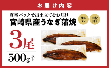 【父の日】宮崎県育ちのうなぎ蒲焼3尾500g以上≪山椒・たれ付≫≪6月18日～21日お届け≫〔AC-M301-FG〕_(都城市) うなぎ蒲焼(有頭) 宮崎県産 真空 山椒・たれ付 父の日 ギフト