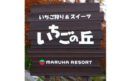 まるは食堂 マルハリゾート いちごの丘『いちご狩り』3歳～未就学児用ご招待券(1名様用) いちご いちご狩り 章姫 かおり野 甘い 完熟 新鮮 穫れたて 香り豊か 自然