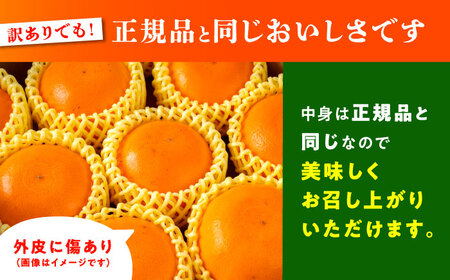 【2027年2月下旬から発送】【訳あり】せとか みかん 家庭用 約2.5kg 果物 フルーツ 【小春農園】[ZBN007]