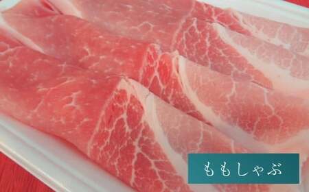 【 香心ポーク 】バラエティー セット (N-8) 計8パック 豚肉 ロース 肩ロース バラ モモ 切り落とし ミンチ