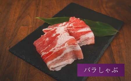 【年12回定期便】 香心ポーク を年中味わえる 満喫 セット (N3A1) 計4パック×12回 豚肉 ロース 肩ロース バラ 切り落とし ミンチ ウインナー ソーセージ ハム ベーコン サラミ
