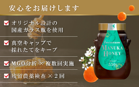 【定期便全12回】マヌカハニー MGO550+ 500g インカナムマヌカハニー・T144