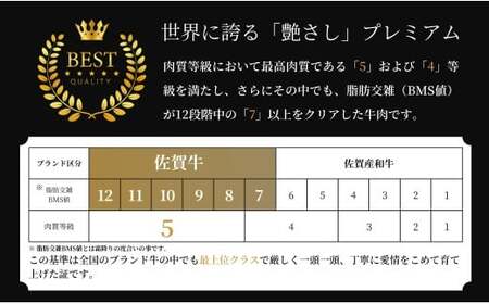 【全4回定期便！総計1.2kg】佐賀牛ヒレ定期便 300g 全4回【有田まちづくり公社】佐賀牛 牛肉 黒毛和牛 厳選 希少部位 お肉 おにく フィレ ヒレステーキ 定期便 ギフト 贈り物 贈答 16万円 N160-6