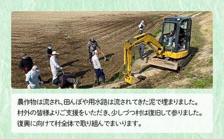 復興応援米 令和7年度 山形県戸沢村産 つや姫 2kg 精米 白米 お米 米 ご飯 ごはん ブランド米 2025年産 令和7年 家庭用 自宅用 贈答用 お取り寄せ 食品 山形県 戸沢村 F7W-0219