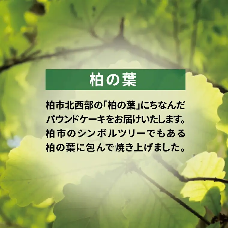 柏の葉に包まれた柚子と白あんのパウンドケーキ【お届け不可地域:沖縄および離島】〈 スイーツ デザート 焼菓子 洋菓子 冷凍 おやつ プレゼント ギフト ご褒美 贈り物 お土産 手作り 誕生日 母の日 父の日 〉
