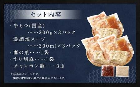 ダルム屋名物【国産】塩モツ鍋 9人前（3人前×3） 塩 牛 もつ モツ 鍋 ちゃんぽん 麺 セット 牛 小腸 国産 冷凍