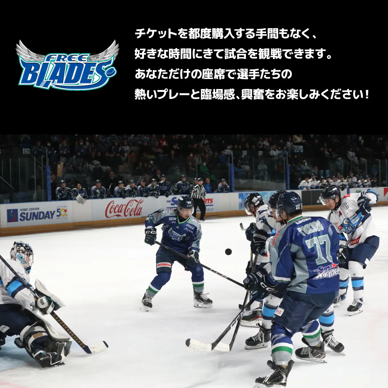 東北フリーブレイズ　アジアリーグ アイスホッケー 〈2026‐27シーズン〉 シーズンシート（自由席エリア） FLAT HACHINOHE 観戦チケット 1名 青森県 八戸市