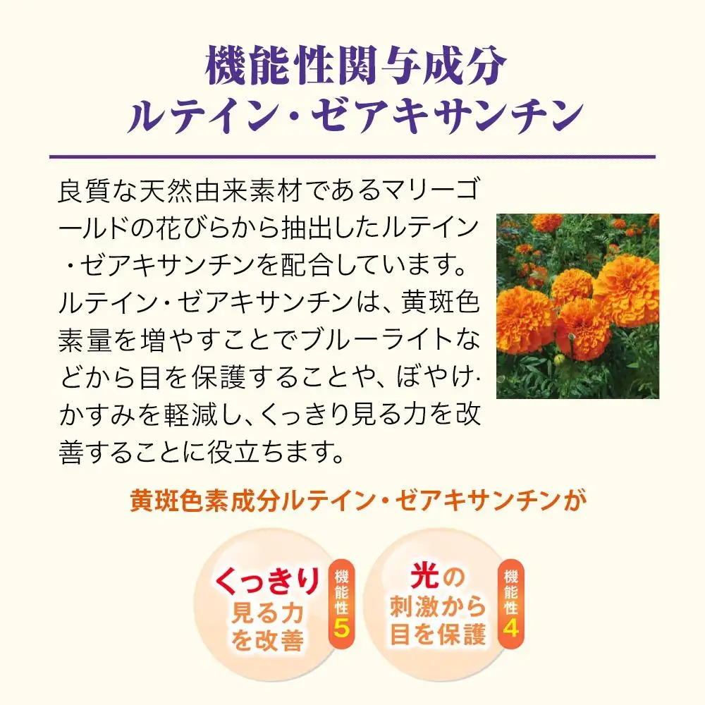 ブルーベリー＋ルテイン 60球 袋入 【006-a125】【山田養蜂場】
