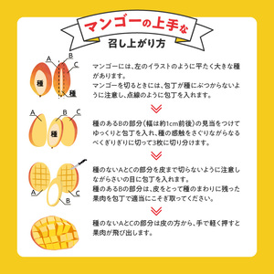 【2026年6月以降お届け】極　完熟マンゴー（2?3玉：約1.1?1.3kg） _ 完熟マンゴー 2 ? 3玉 約1.1kg 1.3kg 平均糖度 17度?18度 完熟 マンゴー 倉重農園 フルーツ トロピカルフルーツ 果物 デザート 冷蔵 クール便 お取り寄せ お取り寄せフルーツ 福岡県 久留米市 送料無料  〔Fm020〕