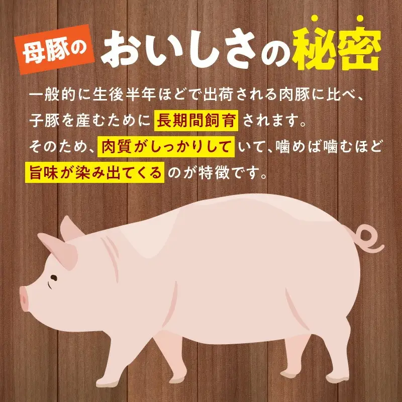 豚肉 切り落とし 豚肉[宮崎県産 ミンチ セット 1.5kg 500g×3P]