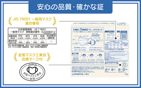 Fitty フィッティ レギュラーサイズ プリーツマスク Kisarazu Edition 100枚（50枚入×2箱）個別包装 不織布マスク / KDE001