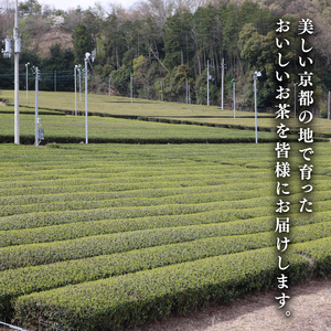 碾茶 ティーバッグ 2袋セット ( 水出し 碾茶 お茶 てん茶 緑茶 日本茶 ティーバッグ 袋入り 茶葉 国産 お茶 飲みやすい ブランド 贈り物 贈答 ギフト 京都 )
