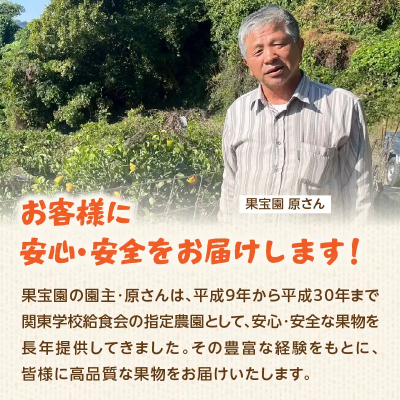【超減農薬・高糖度】塩ミネラルみかん 約5kg ＜配送不可：北海道・沖縄・離島＞ みかん ミカン 蜜柑 フルーツ 美味しい 超減農薬 福岡県 八女市 072-340