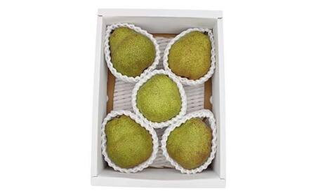 《2026年発送先行予約》山形県産ラ・フランス約1.5kg L～4L らふらんす 果物 くだもの フルーツ 山形県産 F4A-1005