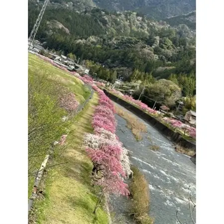 まるちゃん養蜂場 百花はちみつ 計900g(300g×3本)【1696688】