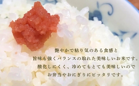 令和7年産 こしひかりカルゲン米 5kg お米 白米 コシヒカリ | 石川県 小松市【坂口農園】