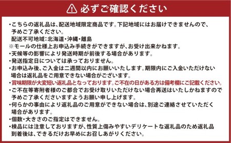 岡山県産 黄色い桃 匠の黄金桃 約3kg箱 6～9玉 【2026年8月下旬～9月下旬発送予定】 黄金桃 桃 もも モモ ピーチ 黄色 黄金 フルーツ 果物 果実 くだもの 国産 冷蔵 果汁 果肉