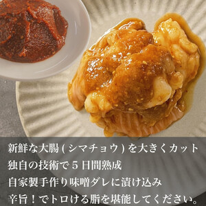 旬熟成　ホルモン　味噌漬け　1,200g　【11100-2218】