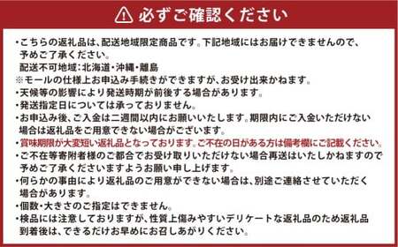 岡山県産 黄色い桃 匠の黄金桃 約4kg箱 10～15玉 【2026年8月下旬～9月下旬発送予定】 黄金桃 桃 もも モモ ピーチ 黄色 黄金 フルーツ 果物 果実 くだもの 国産 冷蔵 果汁 果肉