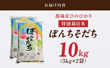 【父の日】都城産ひのひかり特別栽培米「ぼんちそだち」10kg(5kg×2袋)≪6月18日～21日お届け≫〔21-N5-001-10kg-FG〕_(都城市) 都城産 お米 10kg 5kg×2 ひのひかり ぼんちそだち