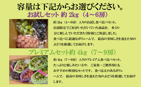 【2026年8月から発送】【先行予約】 2026年発送 旬のぶどう食べ比べプレミアムセット|ぶどう RYE