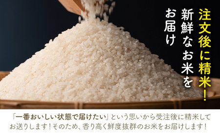 令和7年産 池山名水米 コシヒカリ 白米 精米 2kg フォーシーズン産山村