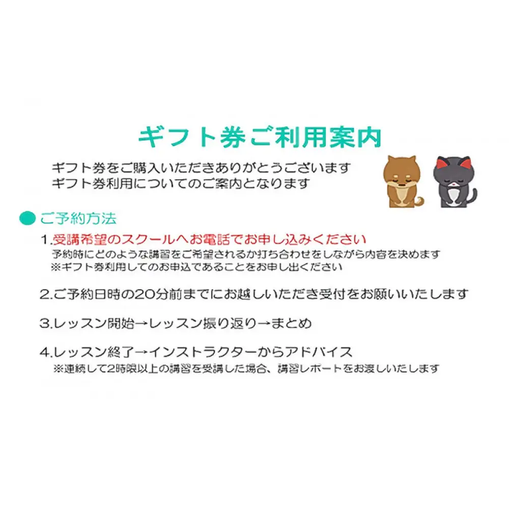 ドリームモータースクール プライベートレッスン GIFT TICKET (昭和校限定）1時間分×2枚 | 運転 スクール 運転