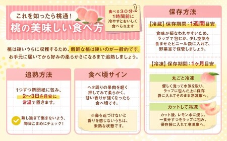 【訳あり（小玉）】桃 3kg （8～10玉） もも モモ ピーチ 果物 フルーツ 山梨県産 国産 【2026年6月下旬～8月下旬発送予定】