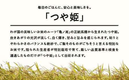 つや姫 精米 10kg 6月中旬~6月下旬発送 国産 お米 山形県産 山形産  おすすめ 5kg 2袋 10kg 米 5kg×2 5キロ 5きろ 10キロ 10きろ 令和7年産 2025年産 沖縄・離島への配送不可 コメ こめ はくまい 白米 tf-tssxb10-6s